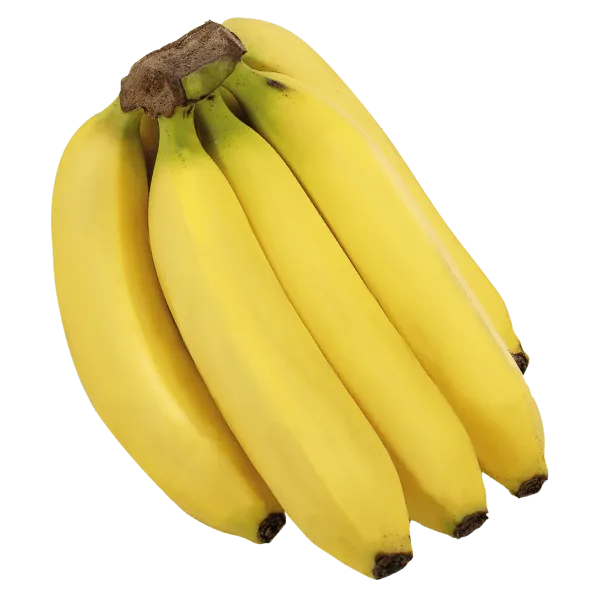 Bio HIT Bananen