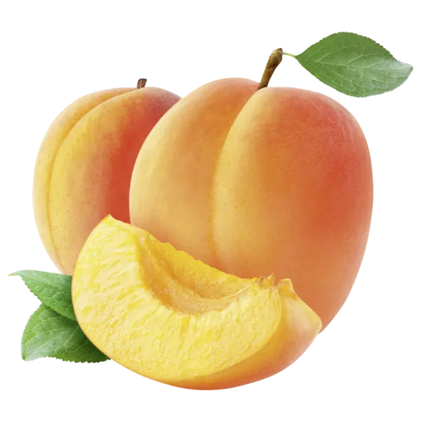 Spanien Aprikosen