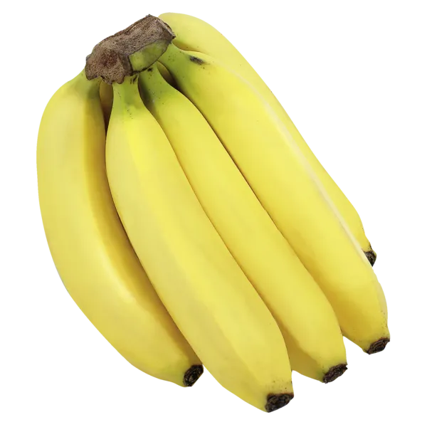 Costa Rica Bananen
