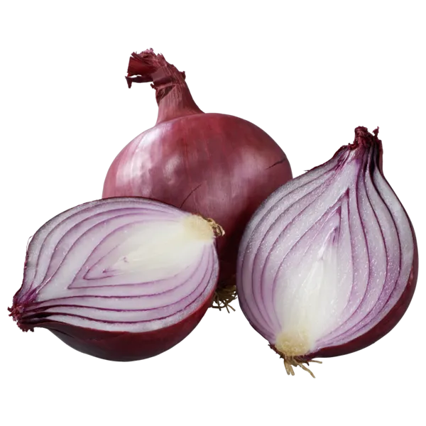 Spanien/Niederlande Bio HIT Knoblauch oder Bio HIT Rote Zwiebeln