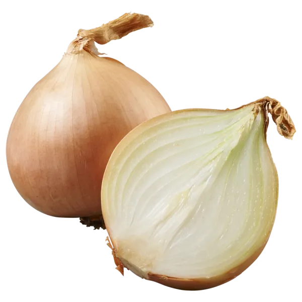 Deutschland Bio HIT Zwiebeln