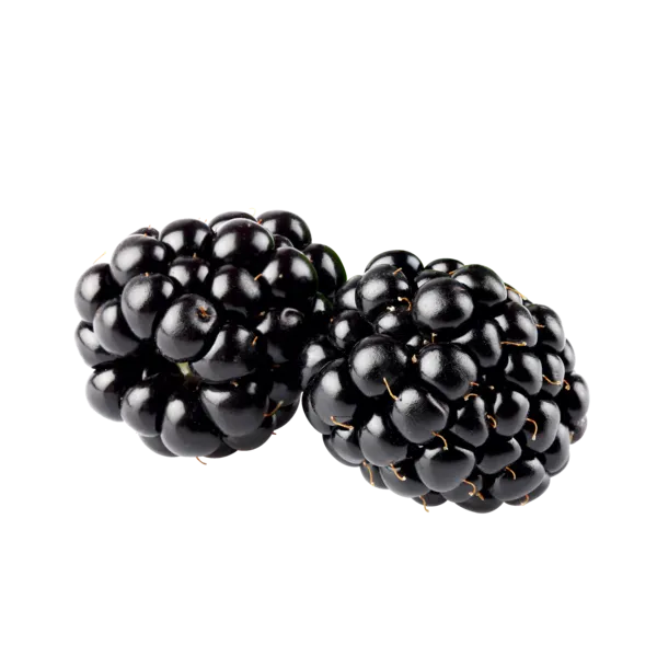 Deutschland Brombeeren