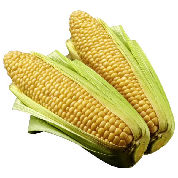18837927