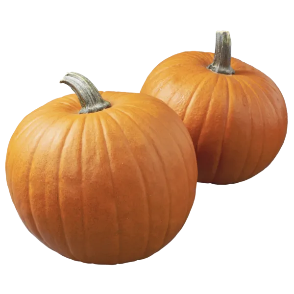 Deutschland Halloween Kürbis