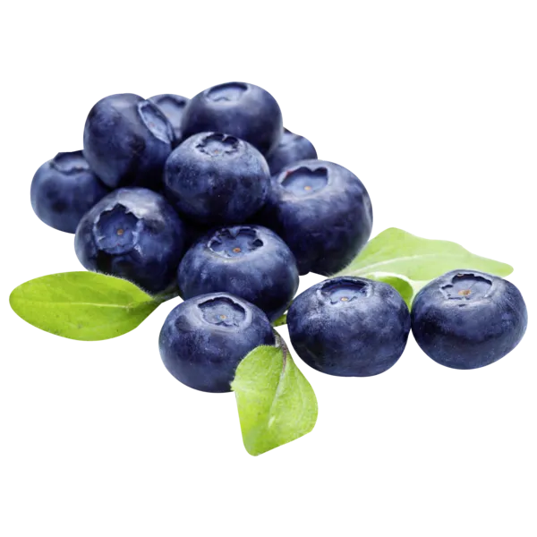 Peru/Argentinien Bio HIT Heidelbeeren