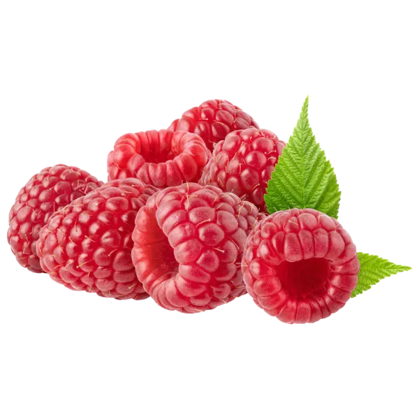 Spanien/Marokko Himbeeren