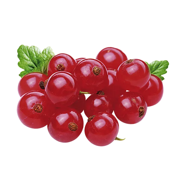 Deutschland Johannisbeeren rot