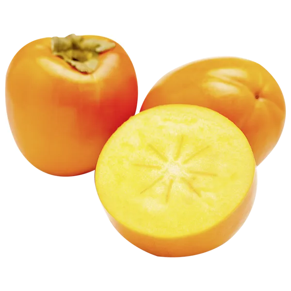 Spanien Kaki