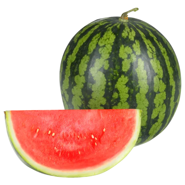 Spanien Mini Wassermelone