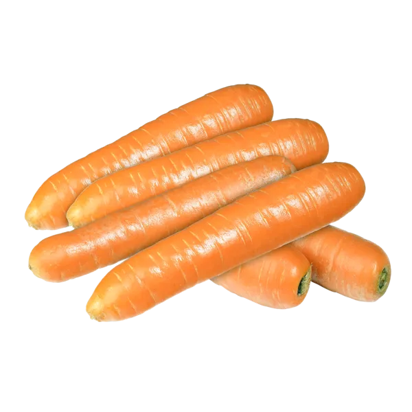 18101597