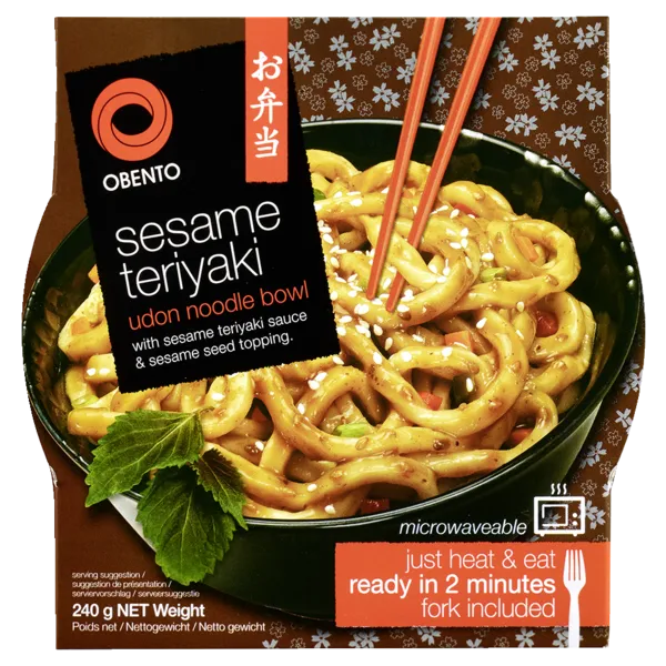 Obento Udon Noodle Bowls