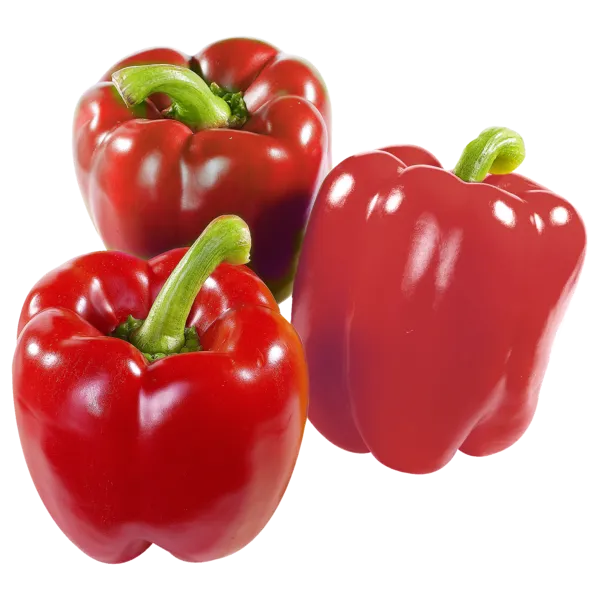 Niederlande Paprika rot