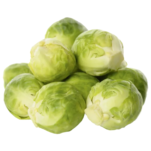 Niederlande Rosenkohl