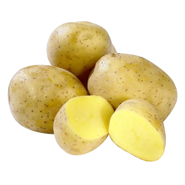 Ägypten Speisefrühkartoffeln