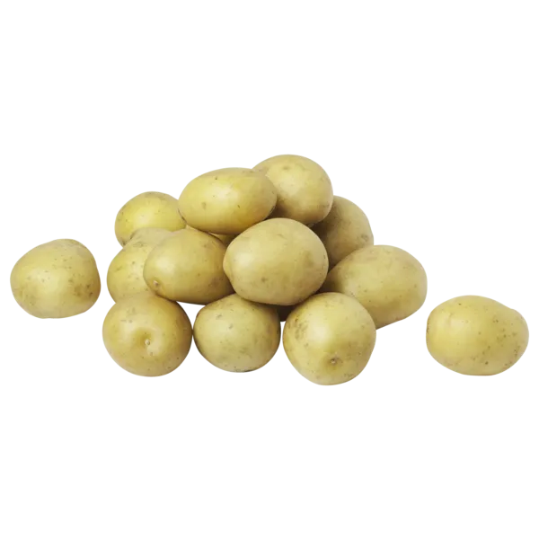 Israel Bio HIT Speisefrühkartoffeln