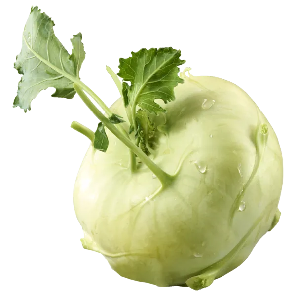 Spanien Kohlrabi