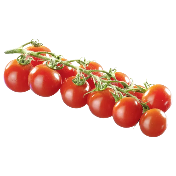 Niederlande/Tunesien Cherrystrauchtomaten