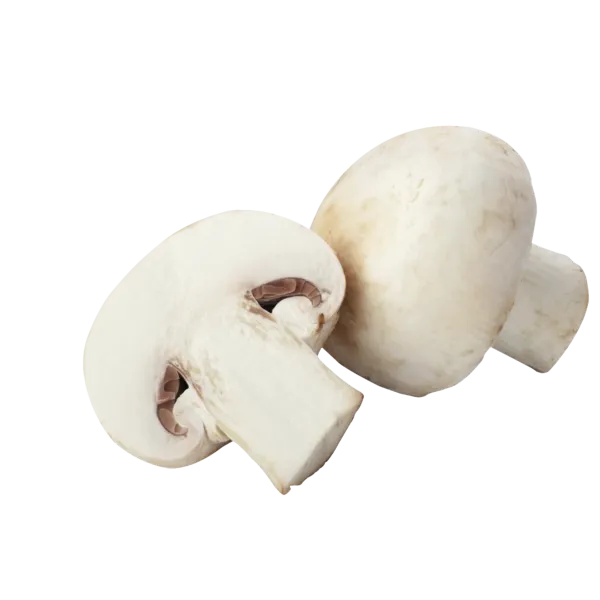 26181171