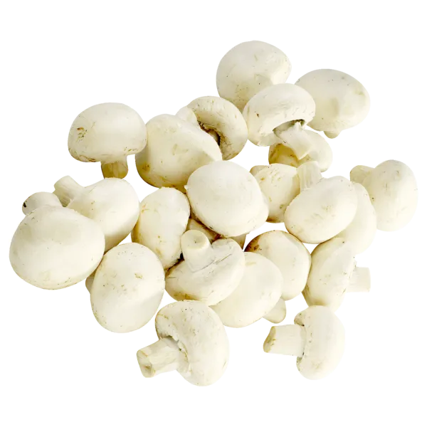 Deutschland Champignons weiß