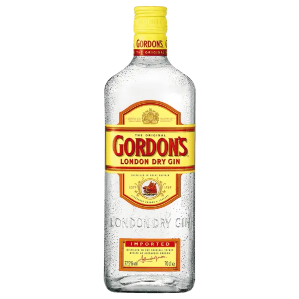 Gordons London Dry Gin oder Needle Black Forest Dry Gin