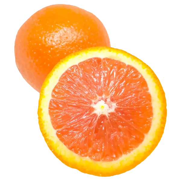 Spanien Cara Cara Orangen