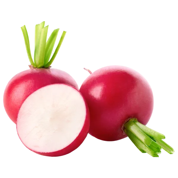 Italien Radieschen ohne Grün